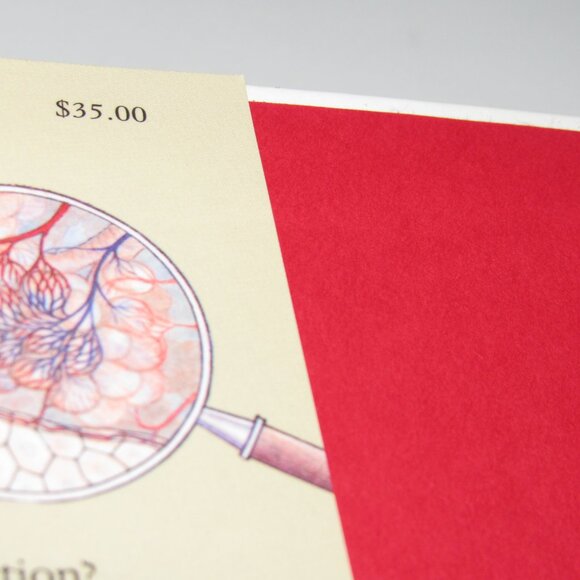 The Way We Work by David Macaulay – Getting to Know the Amazing Human Body – HC - Picture 7 of 8